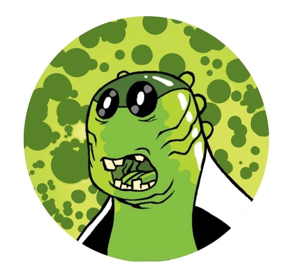 🏠台中租屋 呱呱🐸