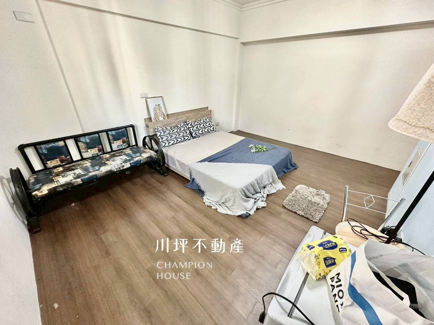 近文心中清｜可貓 大空間 共洗💗